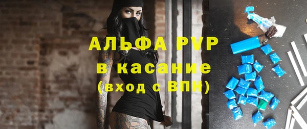 гидра Богородицк