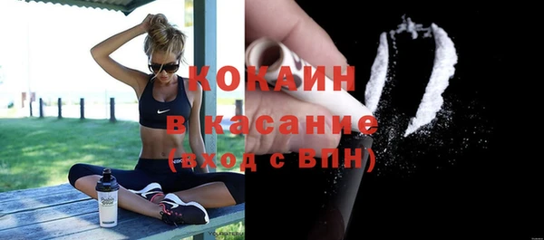 гидра Богородицк