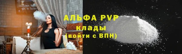 гидра Богородицк