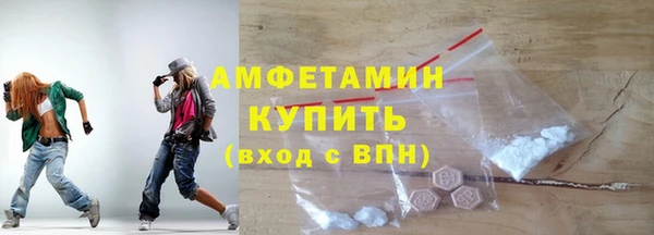 гидра Богородицк