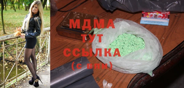 гидра Богородицк