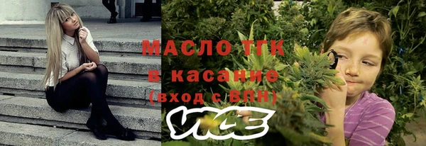 гидра Богородицк
