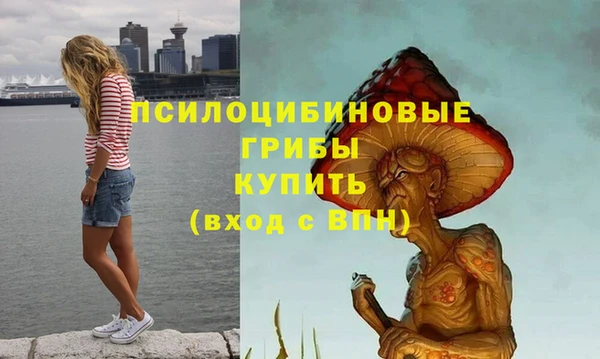 гидра Богородицк