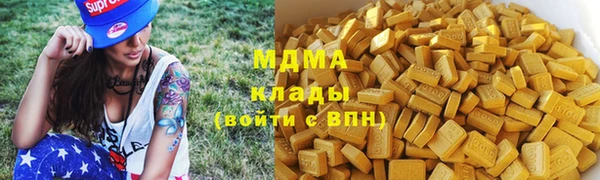гидра Богородицк