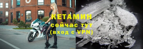 гидра Богородицк
