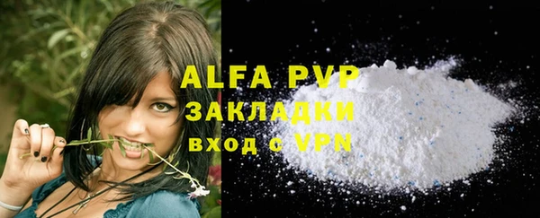 гидра Богородицк