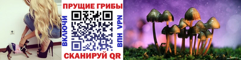 KRAKEN ССЫЛКА  Приволжский  Псилоцибиновые грибы Psilocybine cubensis 